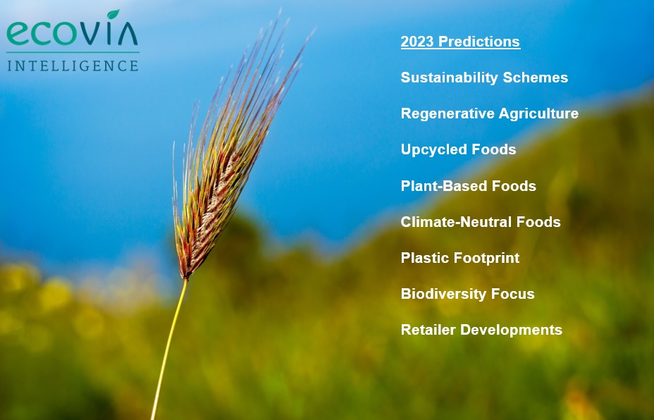 Sustainable Food Predictions 2023